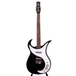 Danelectro Wild Thing
