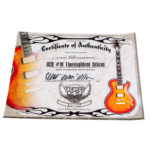 Dean Custom DCR #10 Thoroughbred Deluxe – Bild 12
