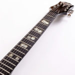 Epiphone FlameKat Limited Edition – Bild 7