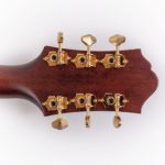 Epiphone Masterbilt - DR-500 RAVS – Bild 8