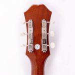 Epiphone Texan FT-79 – Bild 8