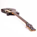 Panthera D Supreme – Bild 3