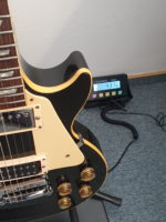 Gibson Les Paul Standard 1989 – Bild 16