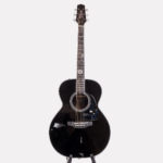 Takamine - LTD2015 RENGE-SO