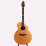 Breedlove - Classic XII Custom