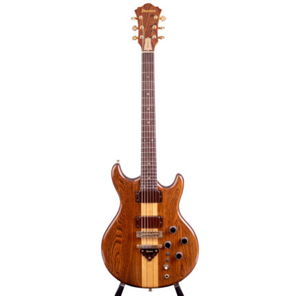 Ibanez Musician MC300