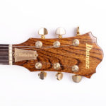 Ibanez Musician MC300 – Bild 9