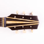 Migma Meistergitarre – Bild 11