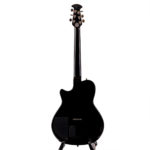 Ovation VXT Hybrid – Bild 2