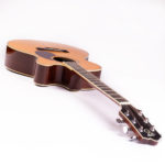 Santa Cruz Modell F – Bild 3