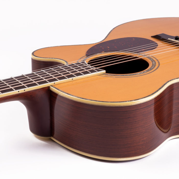 Santa Cruz Modell F – Bild 6