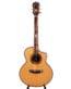 Gitarren online Shop -