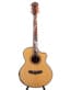 Gitarren online Shop -