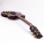 Takamine GZ 300 1982 Japan – Bild 3