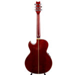 Washburn Festival EA 20 MTS 1995 Japan – Bild 2