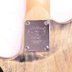 Washburn N-2 Vintage Nuno Bettencourt – Bild 7