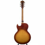 Ibanez FA100 – Bild 2