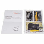 Pelliccia - Lady in Black – Bild 12