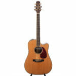 Takamine TNV360SC