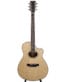 Gitarren online Shop -
