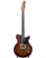 Gitarren online Shop -
