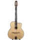 Gitarren online Shop -