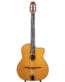 Gitarren online Shop -