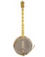 Gitarren online Shop -