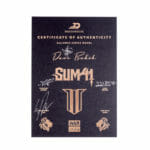 Duesenberg Alliance Series Dave Baksh Paloma – Bild 11