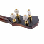 Tenorbanjo Vega Vox 3 Sonderanfertigung – Bild 10