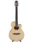Gitarren online Shop -