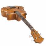 Anton Sandner Archtop Akustikbass 2023-B1 – Bild 3