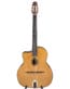 Gitarren online Shop -