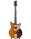 Gitarren online Shop -