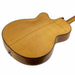 Alosa Solist / Gustav Glassl – Bild 5