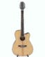 Gitarren online Shop -