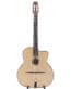 Gitarren online Shop -