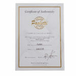 Paoletti - Stratospheric Loft HSS - 400 Heavy Black + Silver – Bild 14