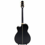 Takamine - LTD2017 Magome – Bild 2