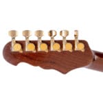 Pelliccia - Tango II Anubis – Bild 12