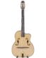Gitarren online Shop -