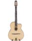 Gitarren online Shop -
