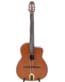 Gitarren online Shop -