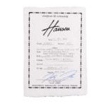 Hansen S-Style Gitarre in Olympic White – Bild 11