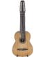 Gitarren online Shop -
