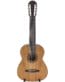 Gitarren online Shop -