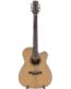 Gitarren online Shop -