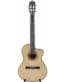 Gitarren online Shop -