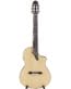 Gitarren online Shop -