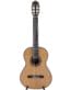 Gitarren online Shop -
